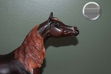 Load image into Gallery viewer, Zafirah-Premier Club Exclusive-Show Stance Arabian Mold-Breyer Traditional