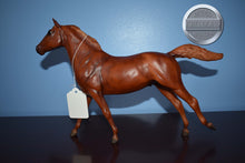 Load image into Gallery viewer, Theodore O Conner-Phar Lap Mold-Breyer Traditional