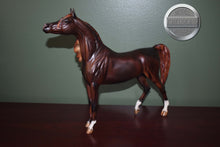 Load image into Gallery viewer, Zafirah-Premier Club Exclusive-Show Stance Arabian Mold-Breyer Traditional