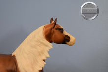 Load image into Gallery viewer, Big Chex to Cash-Smart Chic Olena Mold-Breyer Traditional