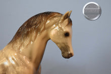 Load image into Gallery viewer, Pippen-Family Arabian Stallion Mold-Breyer Traditional