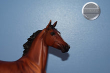Load image into Gallery viewer, Afleet Alex-Lonesome Glory Mold-Breyer Traditional