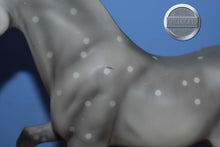 Load image into Gallery viewer, Calife-Family Arabian Stallion Mold-Breyer Traditional
