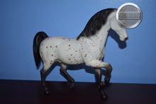 Load image into Gallery viewer, Ara-Appaloosa Stallion-Family Arabian Stallion Mold-Breyer Traditional