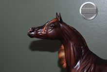 Load image into Gallery viewer, Zafirah-Premier Club Exclusive-Show Stance Arabian Mold-Breyer Traditional