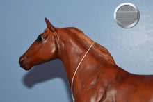 Load image into Gallery viewer, Theodore O Conner-Phar Lap Mold-Breyer Traditional