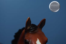 Load image into Gallery viewer, Afleet Alex-Lonesome Glory Mold-Breyer Traditional