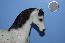 Load image into Gallery viewer, Ara-Appaloosa Stallion-Family Arabian Stallion Mold-Breyer Traditional