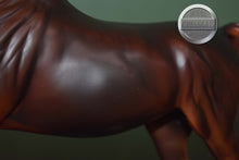 Load image into Gallery viewer, Zafirah-Premier Club Exclusive-Show Stance Arabian Mold-Breyer Traditional