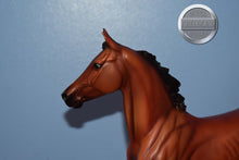 Load image into Gallery viewer, Afleet Alex-Lonesome Glory Mold-Breyer Traditional