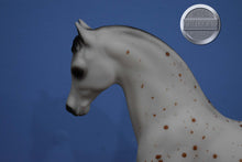 Load image into Gallery viewer, Ara-Appaloosa Stallion-Family Arabian Stallion Mold-Breyer Traditional
