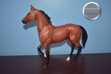 Load image into Gallery viewer, Afleet Alex-Lonesome Glory Mold-Breyer Traditional