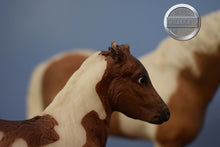 Load image into Gallery viewer, Misty and Stormy-Misty and Stormy Horse and Foal Mold-Breyer Traditional