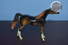 Load image into Gallery viewer, Liver Chestnut-Arabian Chip-Peter Stone Chip
