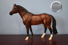 Load image into Gallery viewer, Idocus-Original on the Mold-Warmblood Stallion-Breyer Traditional
