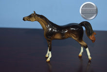Load image into Gallery viewer, Liver Chestnut-Arabian Chip-Peter Stone Chip