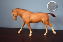 Load image into Gallery viewer, &quot;Small World&quot; Red Dun Green/Blue Metallic Ribbons-Cantering Welsh Pony Mold-Breyer Traditional