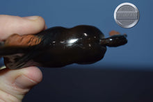 Load image into Gallery viewer, Liver Chestnut-Arabian Chip-Peter Stone Chip