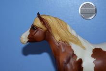 Load image into Gallery viewer, Buckaroo-Breyerfest Exclusive-Haflinger Mold-Breyer Traditional