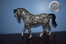 Load image into Gallery viewer, Sgt Pepper-Breyerfest Exclusive-Big Ben Mold-Breyer Traditional