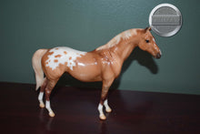 Load image into Gallery viewer, Coeur de Lion-Terrang Mold-Breyer Classic