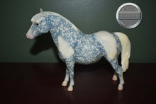 Load image into Gallery viewer, Denim and Diamonds-Vintage Club Exclusive-NO COA-Shetland Pony Mold-Breyer Traditional