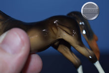 Load image into Gallery viewer, Liver Chestnut-Arabian Chip-Peter Stone Chip