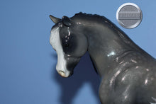 Load image into Gallery viewer, Custom Grey Splash Pinto with Dapples on the Bouncer Mold-Breyer Traditional