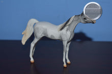 Load image into Gallery viewer, Aston Martin-Special Run-Arabian Chip-Peter Stone Chip