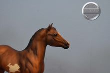 Load image into Gallery viewer, Brown Dun Paint Foal-Standing Stock Horse Foal Mold-Breyer Traditional