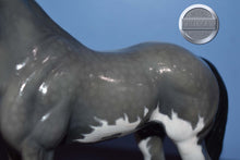 Load image into Gallery viewer, Custom Grey Splash Pinto with Dapples on the Bouncer Mold-Breyer Traditional