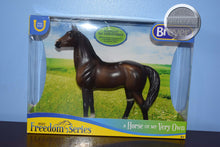 Load image into Gallery viewer, Bay Thoroughbred-Thoroughbred Mold-New in Box-Breyer Classic