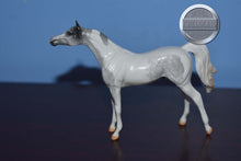 Load image into Gallery viewer, Aston Martin-Special Run-Arabian Chip-Peter Stone Chip
