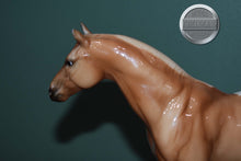 Load image into Gallery viewer, Coeur de Lion-Terrang Mold-Breyer Classic