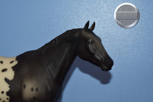 Load image into Gallery viewer, Chief of Fourmile-Appaloosa Performance Horse Mold-Breyer Traditional
