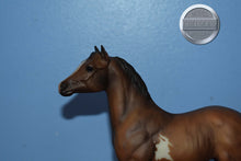 Load image into Gallery viewer, Brown Dun Paint Foal-Standing Stock Horse Foal Mold-Breyer Traditional