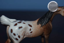 Load image into Gallery viewer, FCM Mini Me Omar-LE of 15-Arabian Chip-Peter Stone Chip