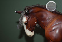 Load image into Gallery viewer, SBH Phoenix-BODY CONDITION-Othello Mold-Breyer Traditional