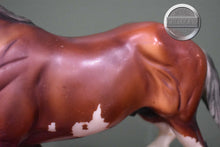 Load image into Gallery viewer, SBH Phoenix-BODY CONDITION-Othello Mold-Breyer Traditional