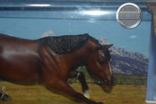 Load image into Gallery viewer, Bay Cutting Horse-New in Box-Cutting Horse Mold-Breyer Classic