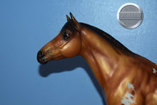 Load image into Gallery viewer, Thorn #2-Matte Finish-Breyerfest Exclusive-Trakehner Mold-Breyer Traditional