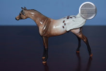 Load image into Gallery viewer, FCM Mini Me Omar-LE of 15-Arabian Chip-Peter Stone Chip