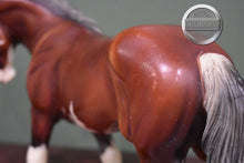 Load image into Gallery viewer, SBH Phoenix-BODY CONDITION-Othello Mold-Breyer Traditional