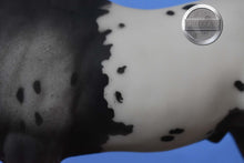 Load image into Gallery viewer, Chief of Fourmile-Appaloosa Performance Horse Mold-Breyer Traditional