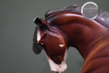 Load image into Gallery viewer, SBH Phoenix-BODY CONDITION-Othello Mold-Breyer Traditional