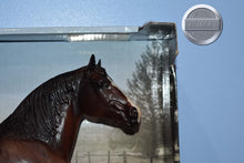 Load image into Gallery viewer, Alba-Hip Flaw-New in Box-Clydesdale Mare-Breyer Traditional