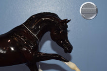 Load image into Gallery viewer, Ganache-Breyerfest Exclusive-Ashquar Mold-Breyer Traditional
