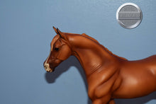 Load image into Gallery viewer, S Justadream-Original on the Mold-Breyer Traditional