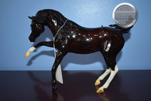 Load image into Gallery viewer, Ganache-Breyerfest Exclusive-Ashquar Mold-Breyer Traditional