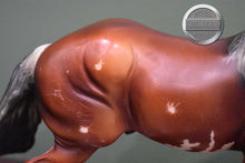 Load image into Gallery viewer, SBH Phoenix-BODY CONDITION-Othello Mold-Breyer Traditional